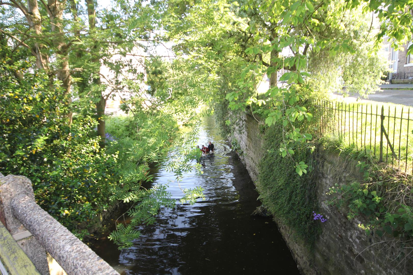 1 bedroom flat To Let in Earby - IMG_7636.jpg